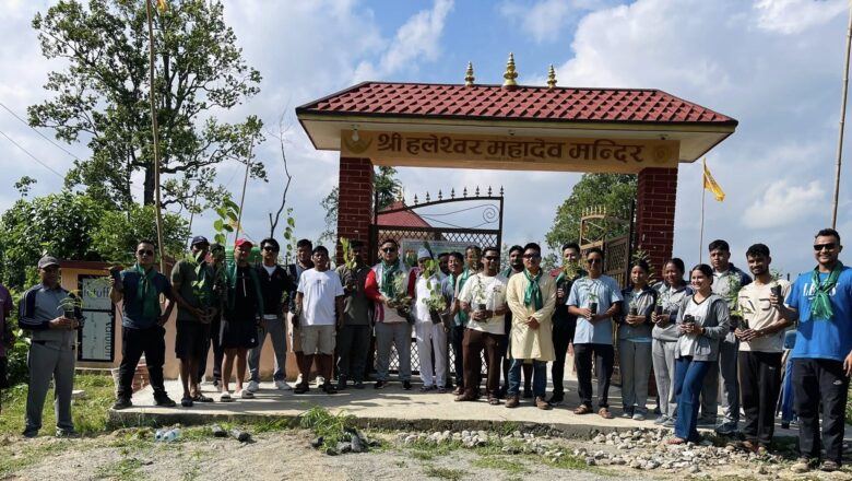 युवा संघ चौदण्डीगढीद्वारा वडा नम्बर ६ को विभिन्न स्थानमा वृक्षारोपण ।