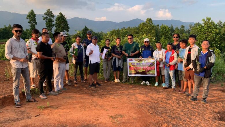 चौदण्डीगढीमा राष्ट्रिय युवा संघ नेपालद्वारा बृक्षारोपण ।
