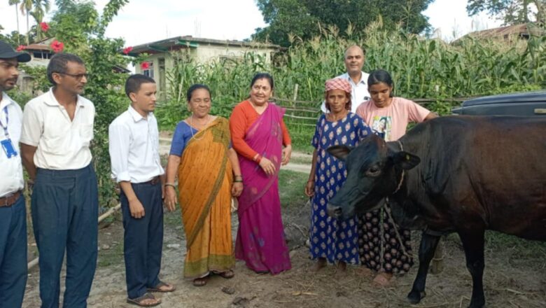 वेपता परिवारलाई जिविकोपार्जनका लागि चौदण्डीगढी नगरपालिकाको लौनो गाई सहयोग ।